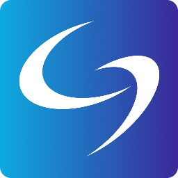 US Immigration AI logo